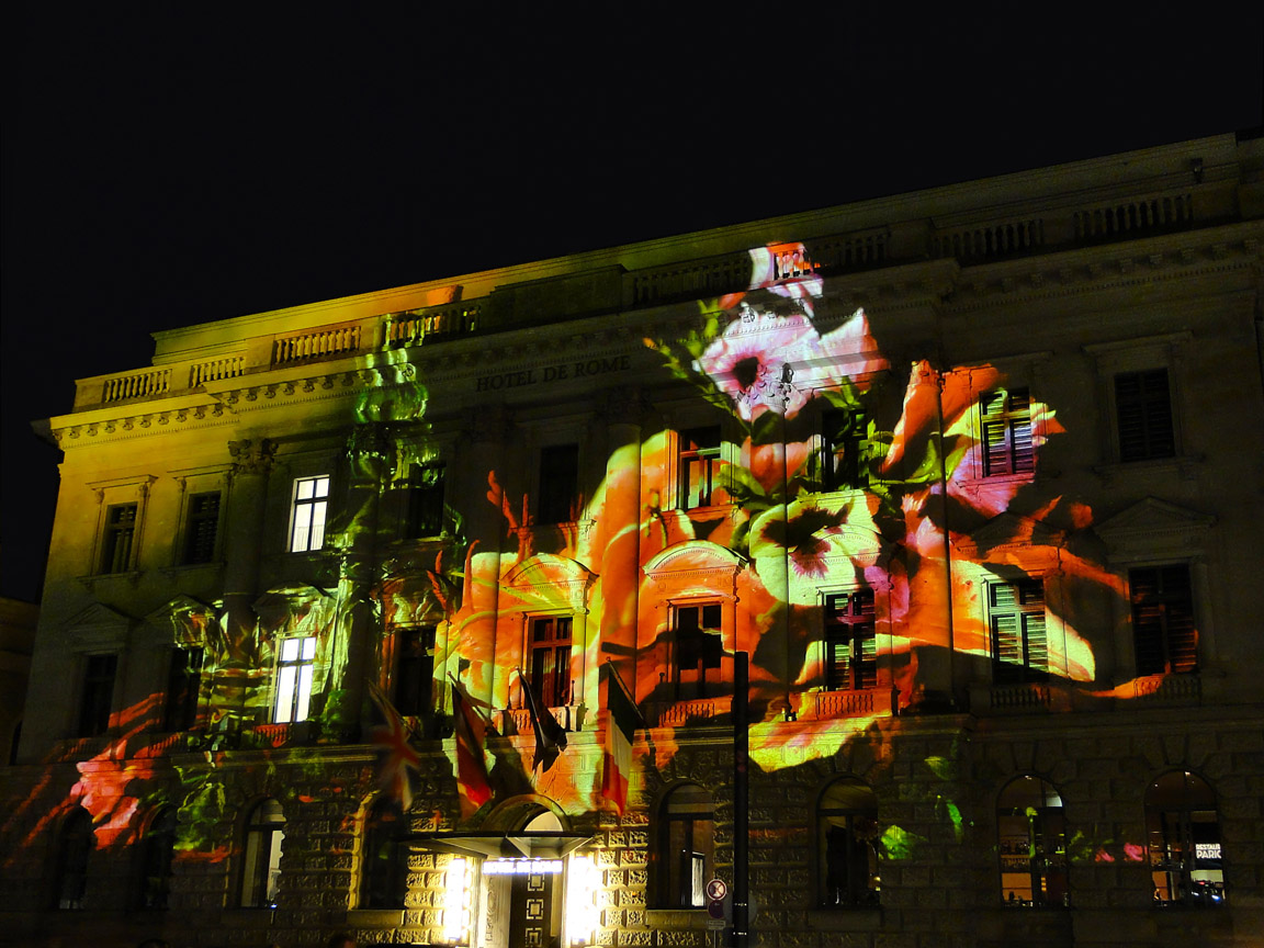 Festival_of_Lights_2013_10_19_213955_DSC09514.jpg