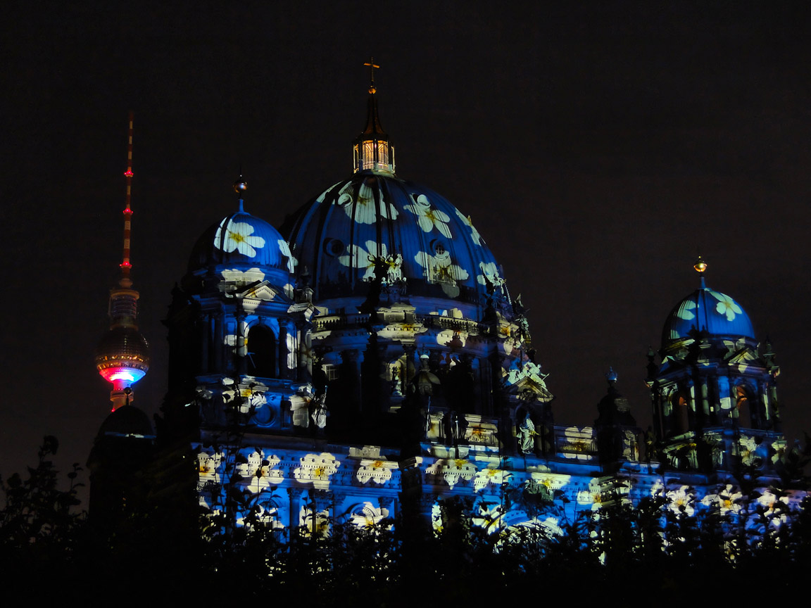 Festival_of_Lights_2013_10_19_221735_DSC09551.jpg
