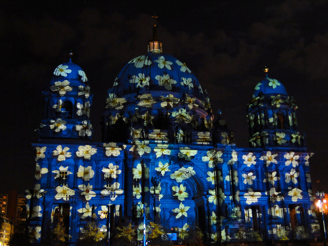 Festival_of_Lights_2013_10_19_222744_DSC09566.jpg