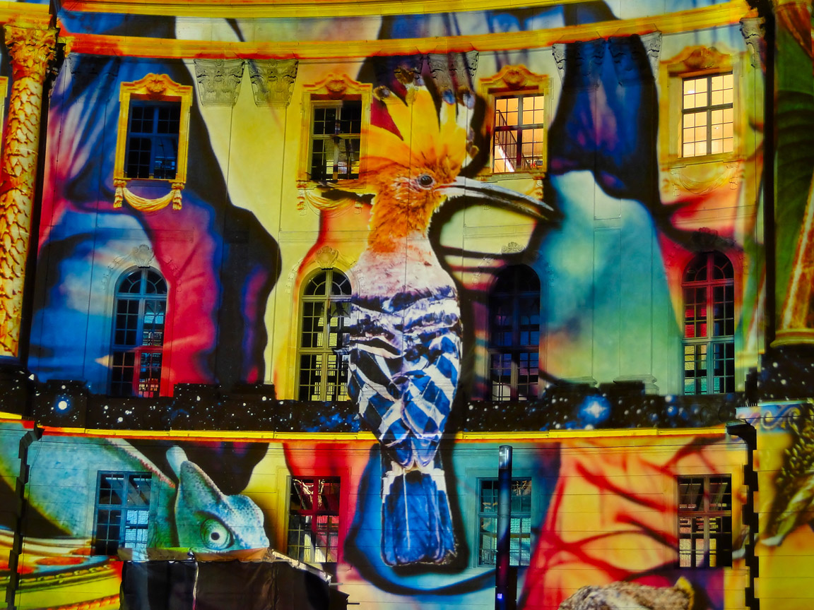 Festival_of_Lights_2018_10_13_194446_DSC00901.jpg
