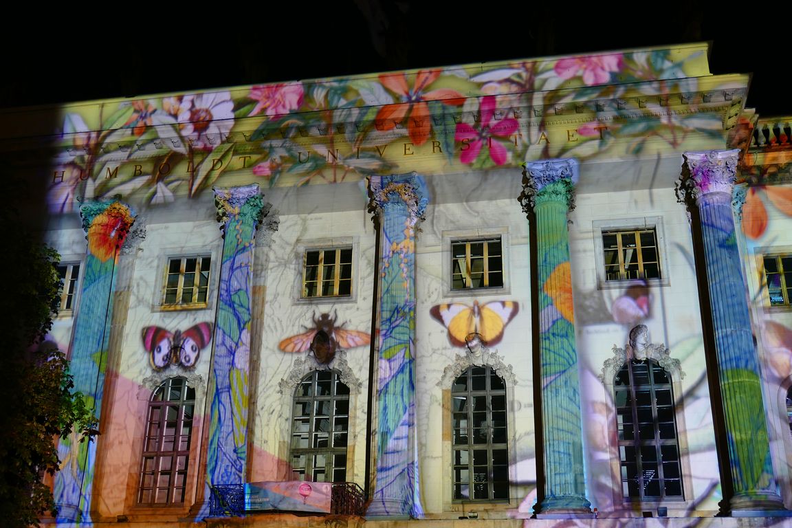 Festival_of_Lights_2019_10_12_211651_02.jpg