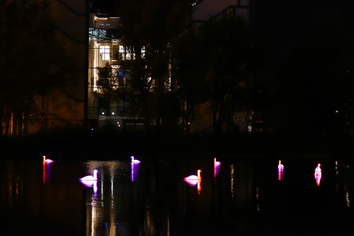 1087_Festival_of_Lights_2021_09_08_225259_P1080845.jpg