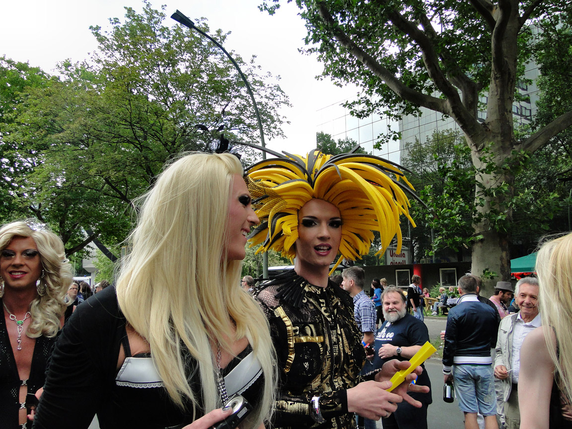 CSD_2011_06_25_161301_DSC04470.jpg