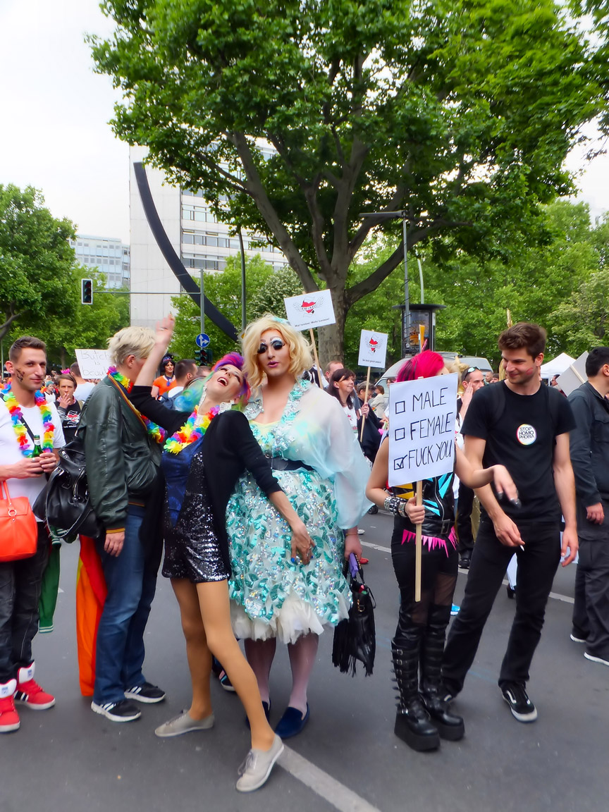 CSD_2015_06_27_135559_DSCF6076.jpg