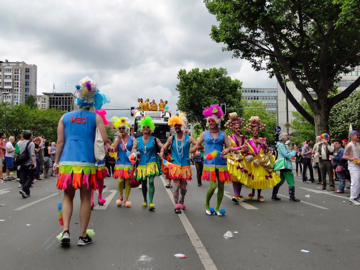 CSD_2015_06_27_150015_DSC03413.jpg