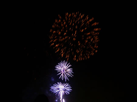 IMGP0790_JPG.jpg