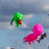 Drachenfest_THF_20260912_144010_P1057859.JPG