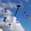 Drachenfest_THF_20260912_150251_P1057888.JPG