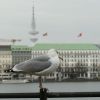 1012_Hamburg_2022_12_03_113902_P1110285.jpg