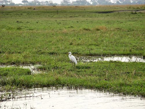 1044_Botswana_20070927-162026_IMG_0878.jpg