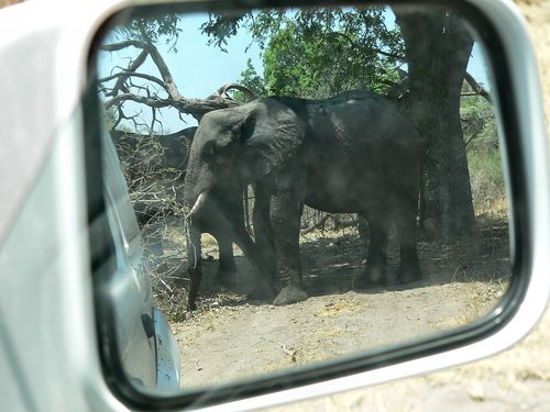 1157_Botswana_20071004-123802_P1080792.jpg