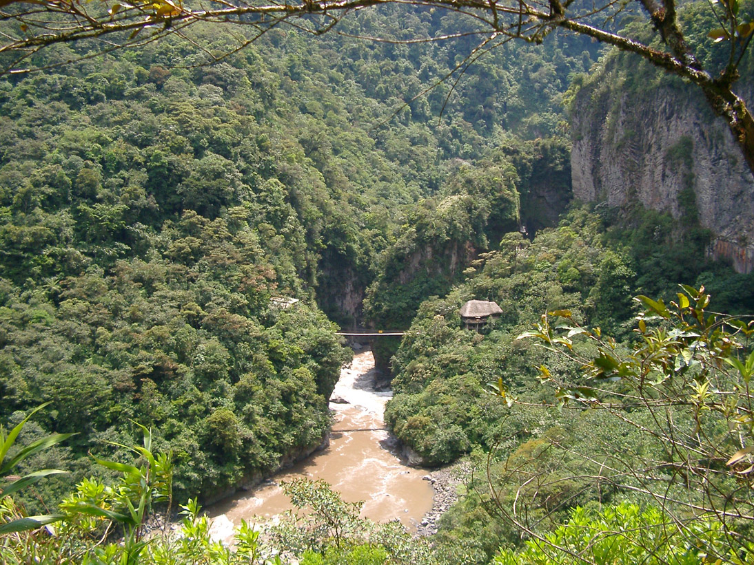 270_1Ecuador_2004_11_IMGP3496