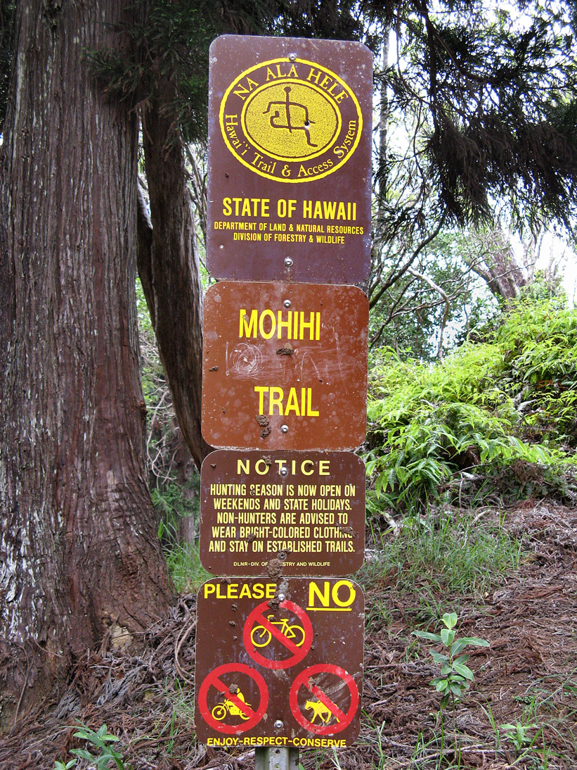 197_20080517_134548_Hawaii2008_IMG_1642
