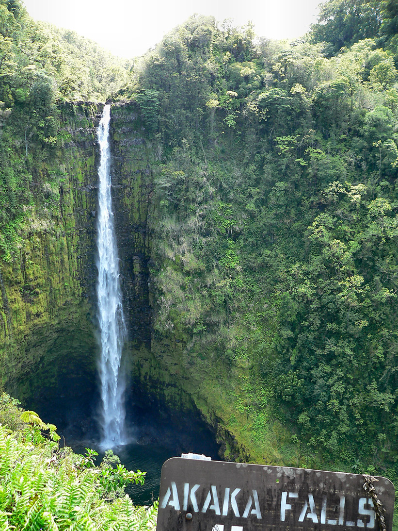 277_20080522_143912_Hawaii2008_P1090846