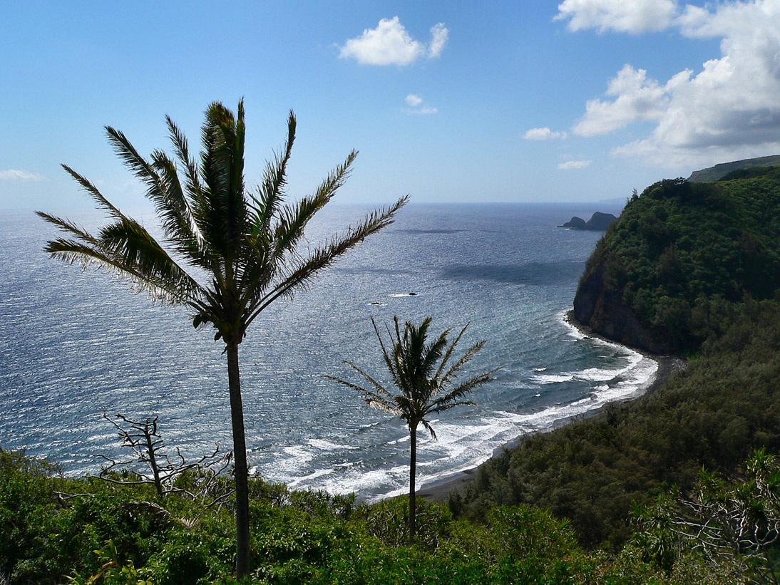 293_20080524_094228_Hawaii2008_P1090886