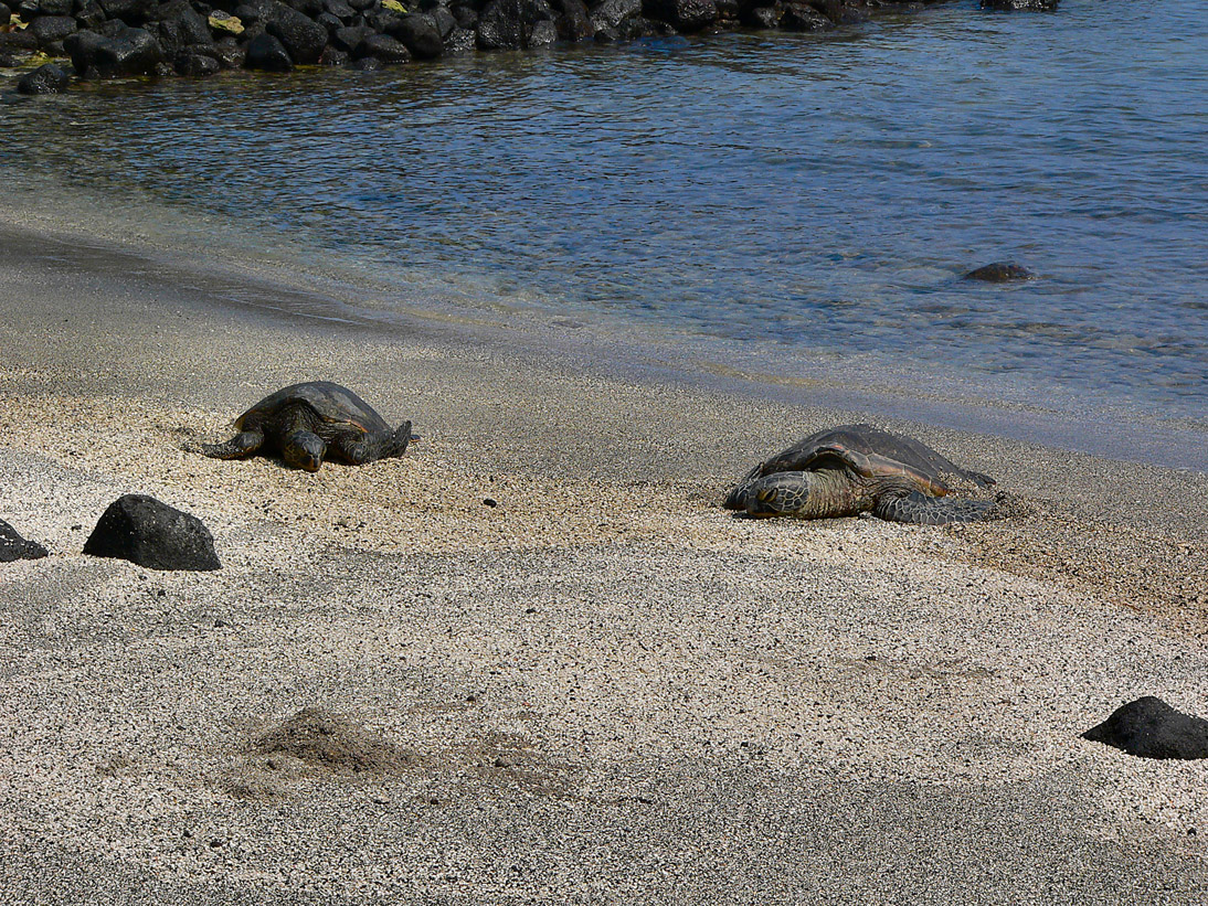 307_20080525_100040_Hawaii2008_P1090899