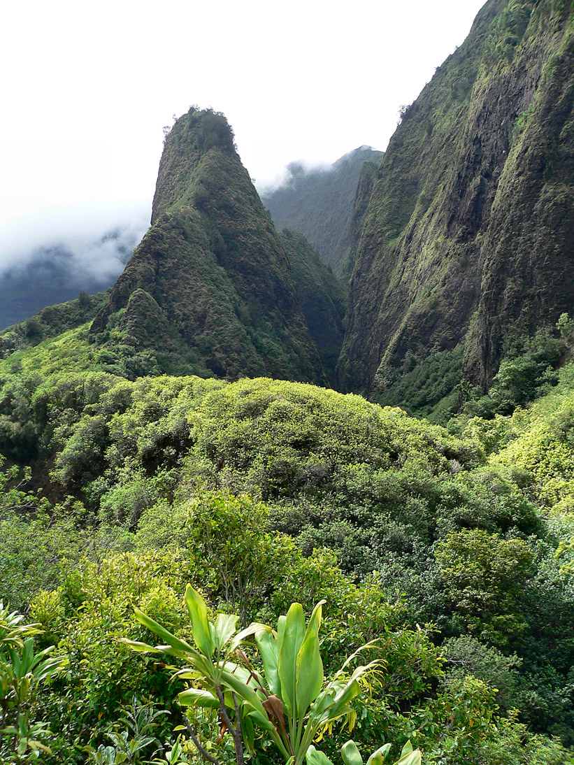 334_20080527_145824_Hawaii2008_P1100011