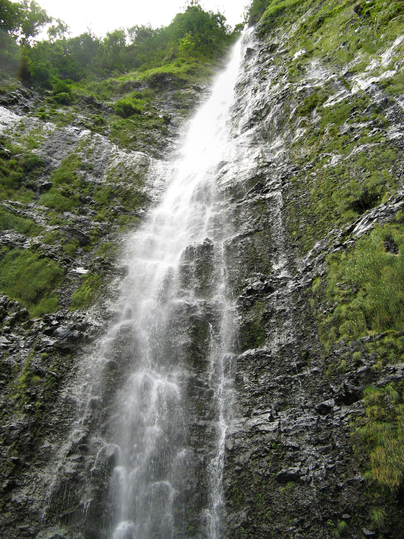 347_20080528_143934_Hawaii2008_IMG_1878
