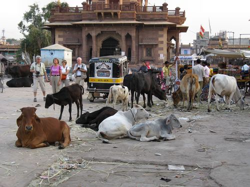 1137_20101106_171624_Indien2010_IMG_4456.jpg