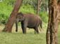 1188_Indien_Sued_2014_11_09_162200_DSC02227
