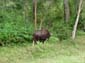 1189_Indien_Sued_2014_11_09_173315_DSC02245