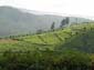 1220_Indien_Sued_2014_11_11_140722_DSC02317