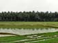 1234_Indien_Sued_2014_11_12_143921_DSC02376