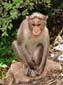 1269_Indien_Sued_2014_11_14_132538_DSC02471
