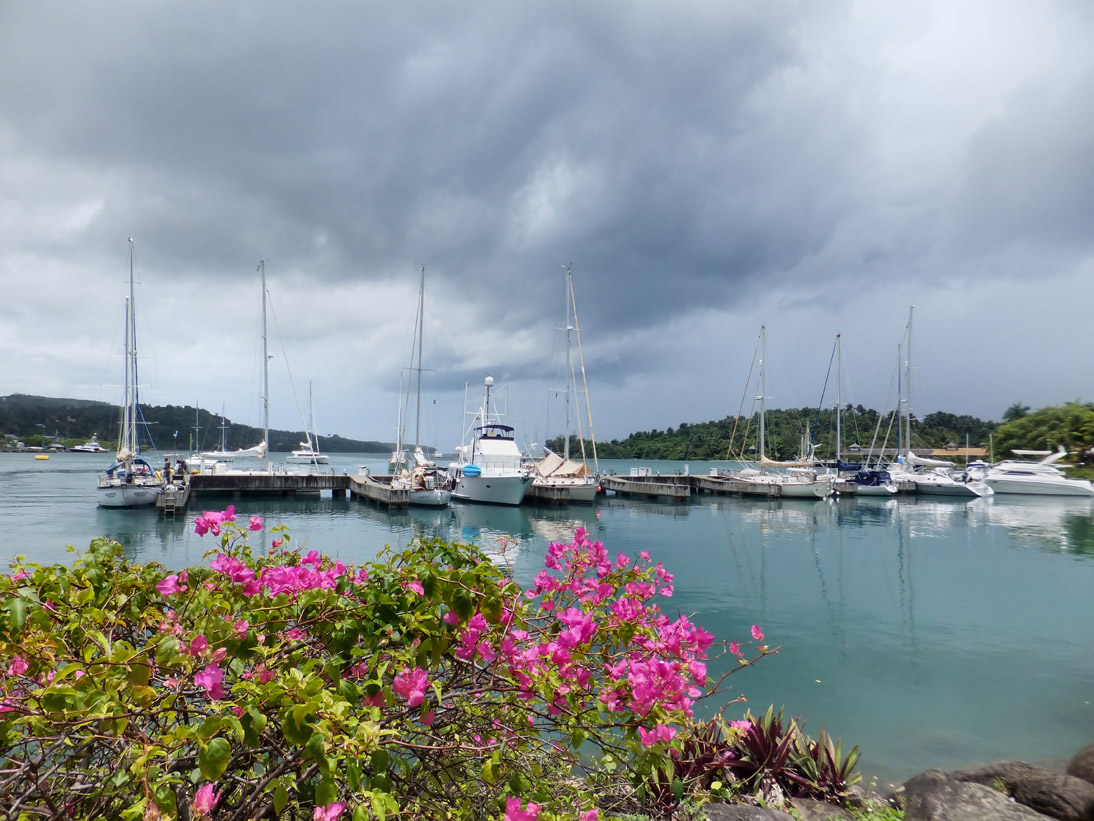 1243_Jamaika_2017_04_21_120011_DSCF8937