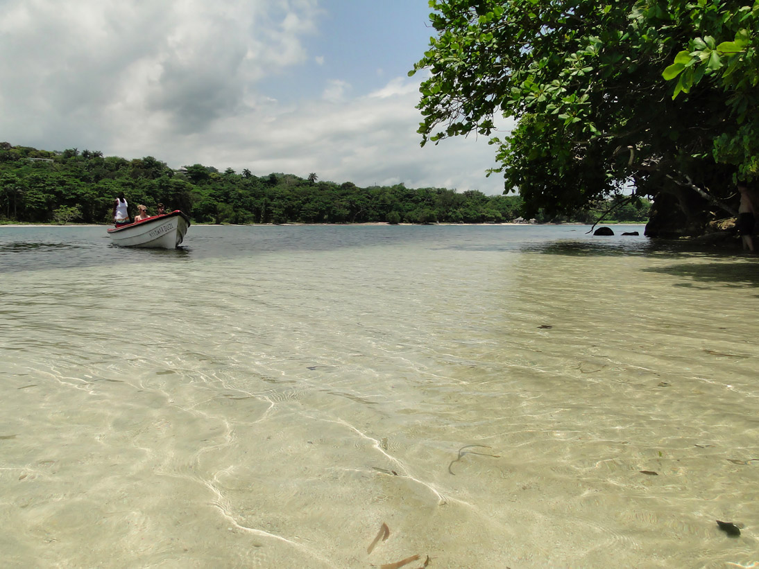 1334_Jamaika_2017_04_24_112838_DSC07303