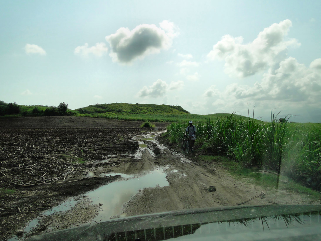 1394_Jamaika_2017_04_25_151555_DSC07381