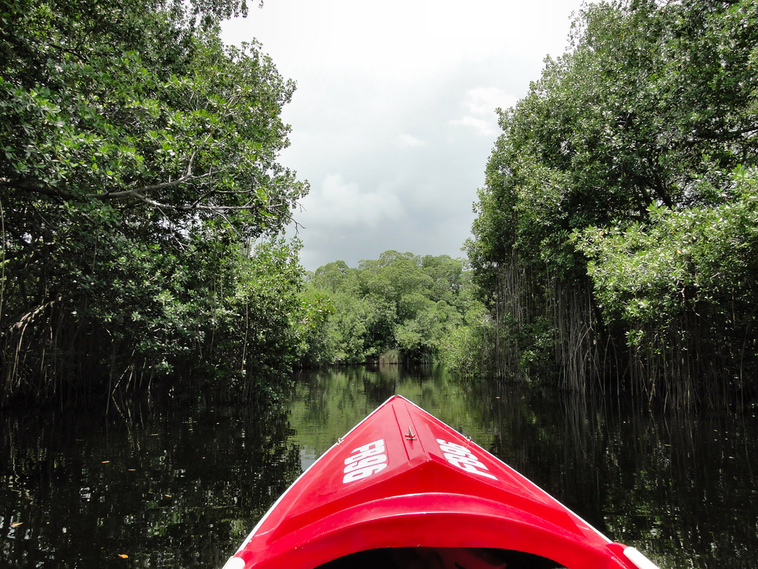 1636_Jamaika_2017_04_29_113354_DSC07513