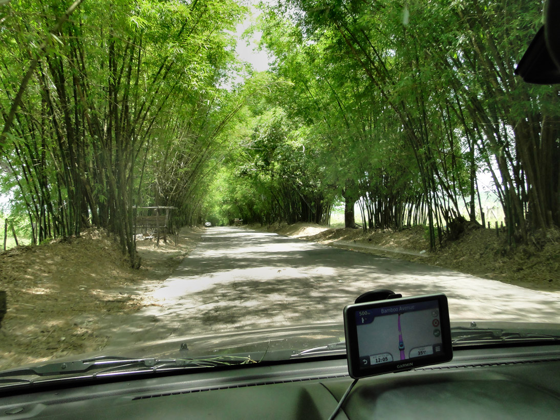 1718_Jamaika_2017_04_30_120442_DSC07584