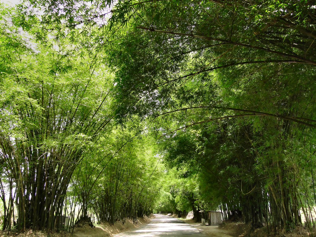 1720_Jamaika_2017_04_30_115857_DSC07580