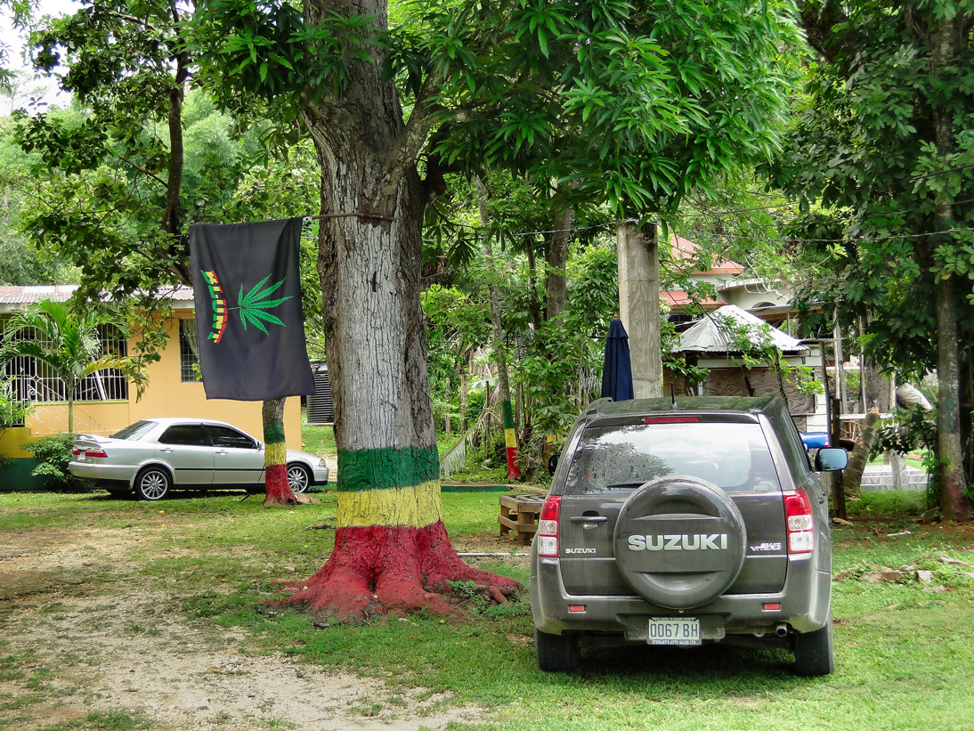 1733_Jamaika_2017_05_01_123331_DSC07619