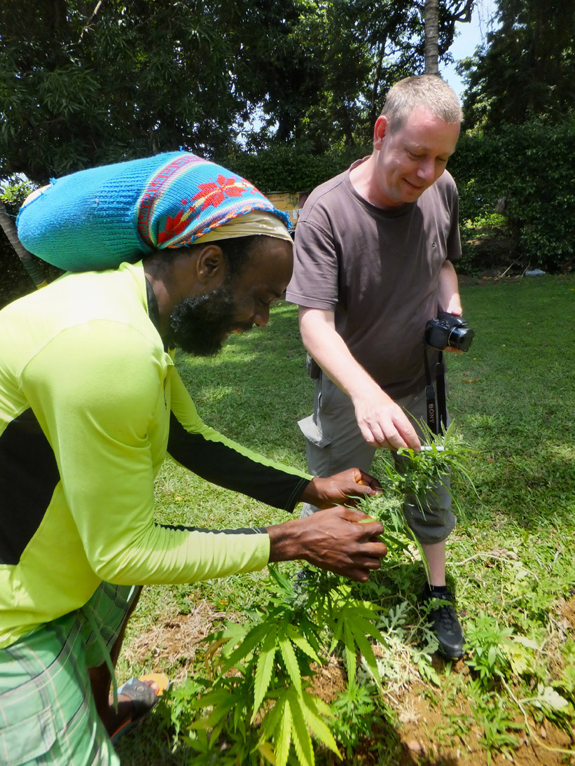 1745_Jamaika_2017_05_01_120323_DSCF9251