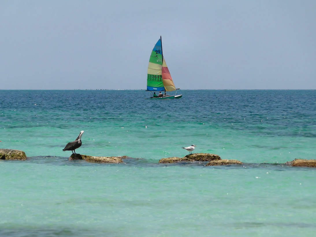 1816_Jamaika_2017_05_03_124306_DSC07658