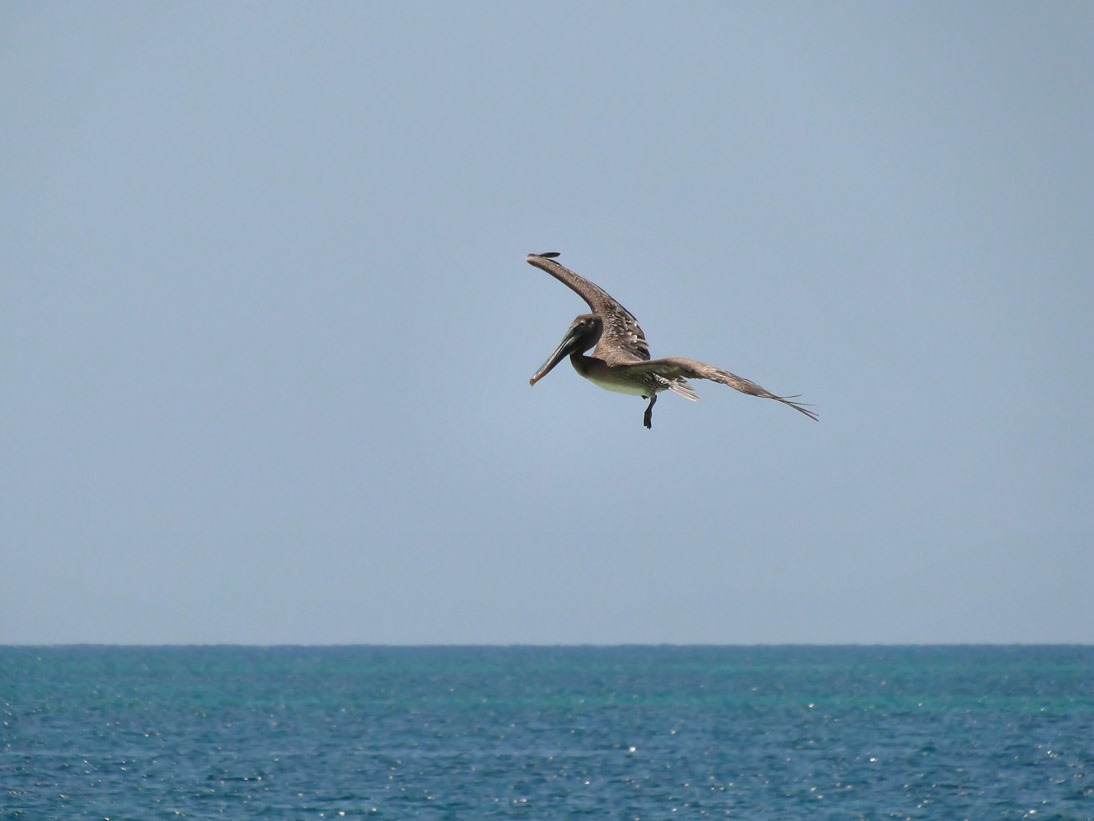 1817_Jamaika_2017_05_03_124627_DSC07660