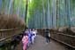 1512_Japan_2023_05_14_121058_P1130035