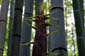 1516_Japan_2023_05_14_121600_P1130038