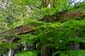 1572_Japan_2023_05_15_161053_P1130227