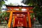 1604_Japan_2023_05_16_103118_P1130325