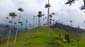 1217_Kolumbien_2016_11_08_122236_DSCF8433