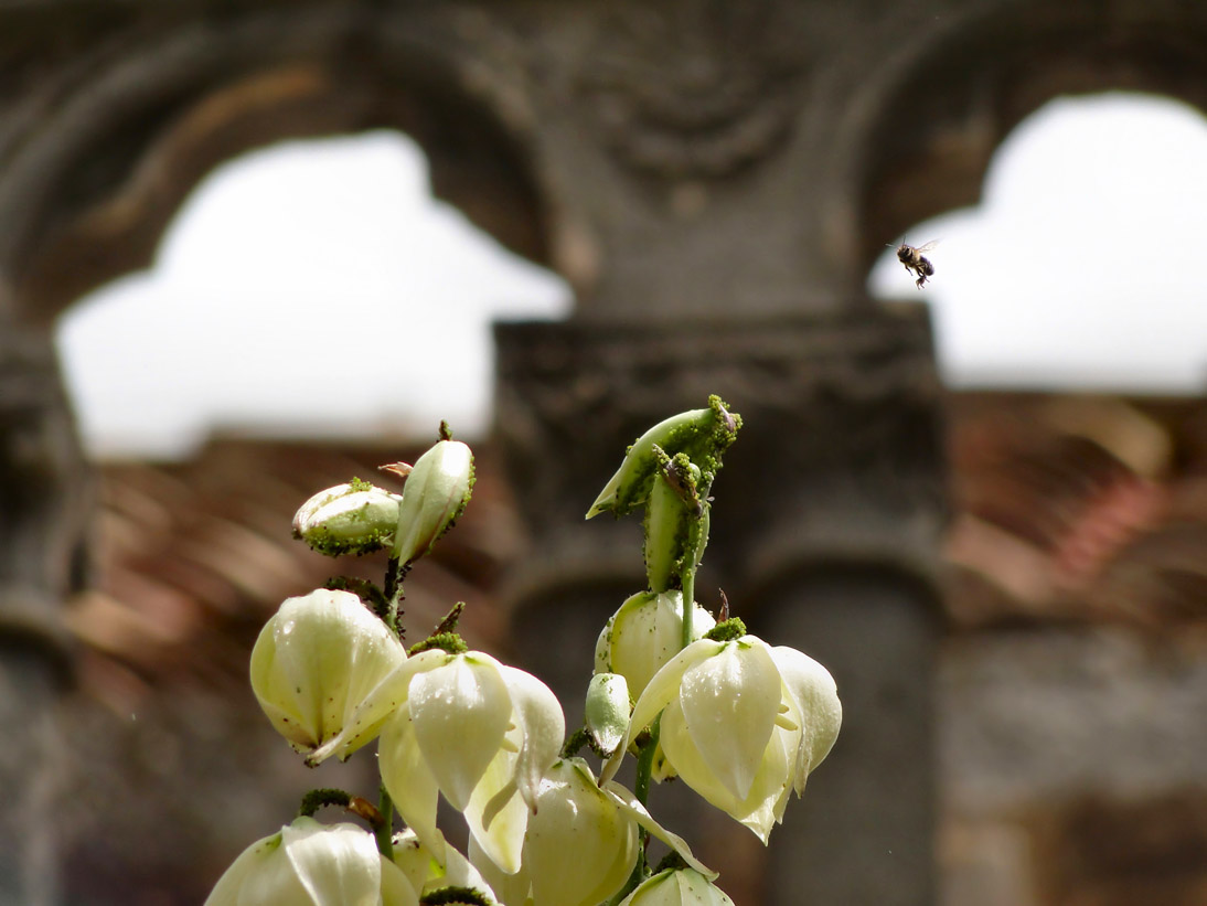 1221_Kroatien_2015_05_22_131937_DSC03220