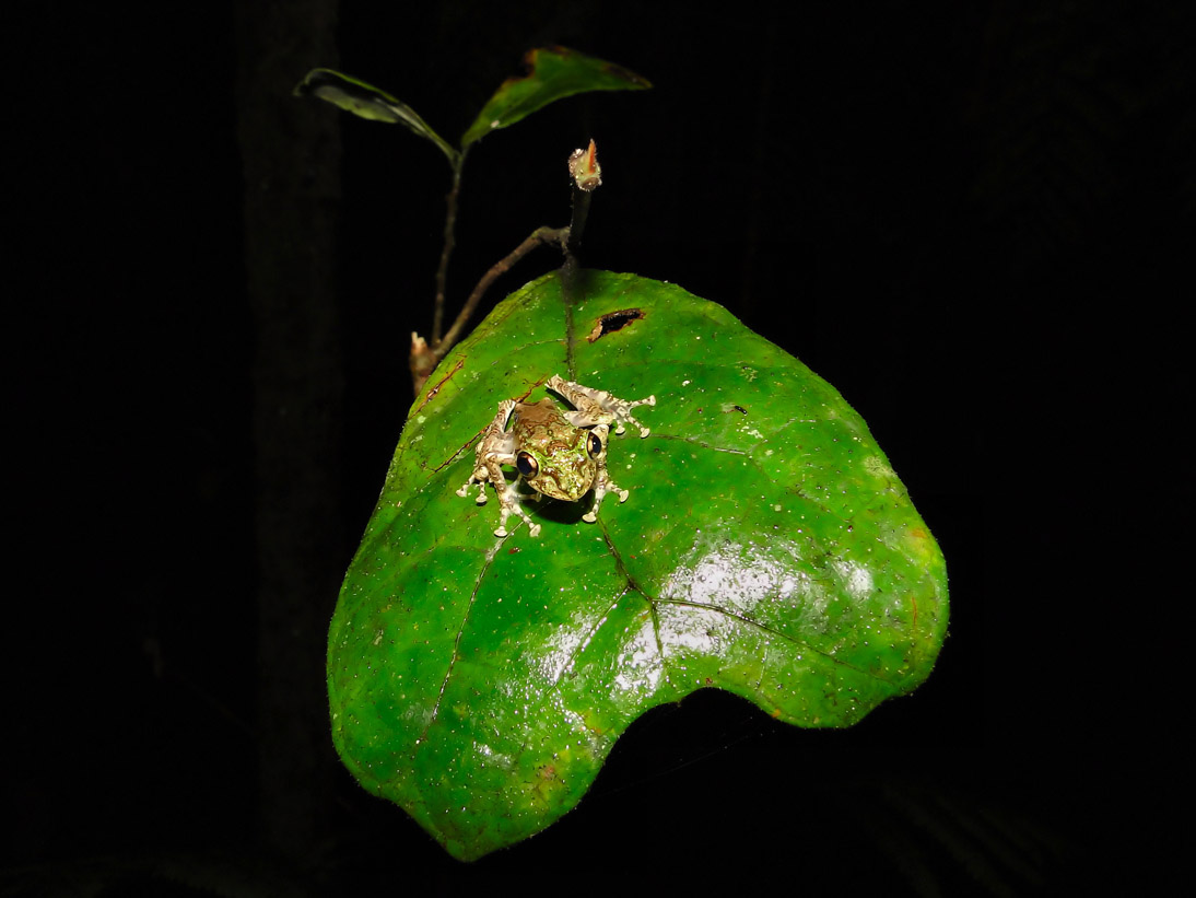 1093_20120430_190156_Madagaskar_DSC06619