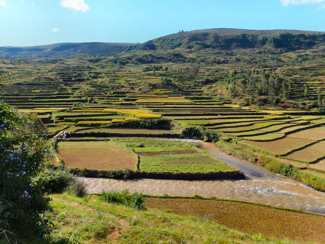 1156_20120502_145752_Madagaskar_DSCF0471