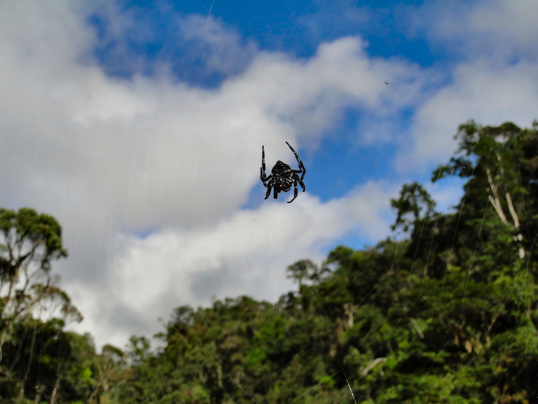 1262_20120506_082052_Madagaskar_DSC06956