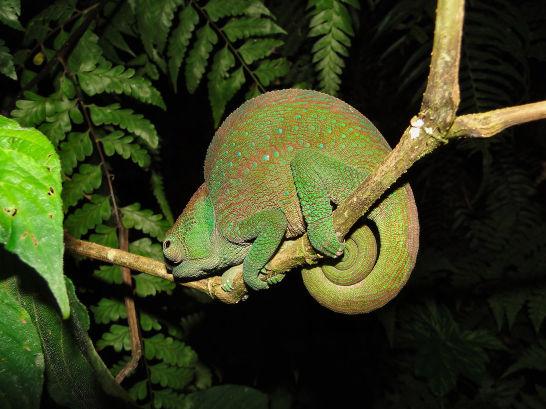 1281_20120506_182518_Madagaskar_DSC07040