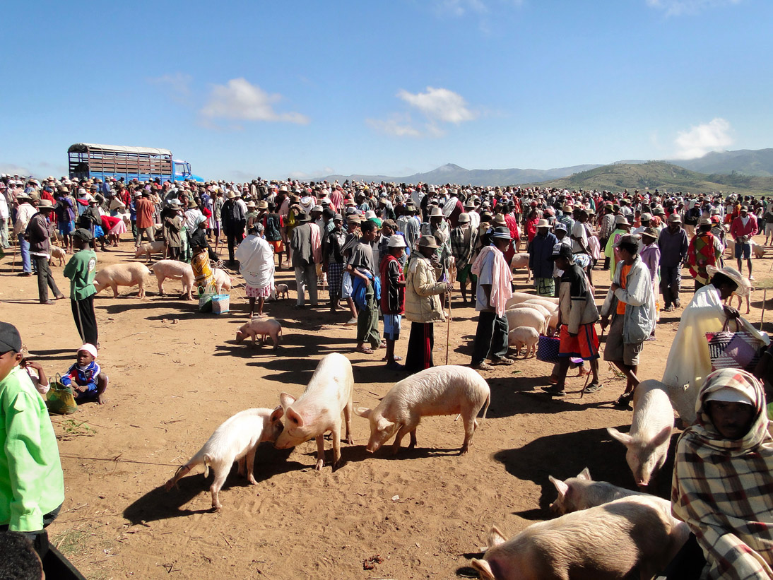 1285_20120507_093146_Madagaskar_DSC07060