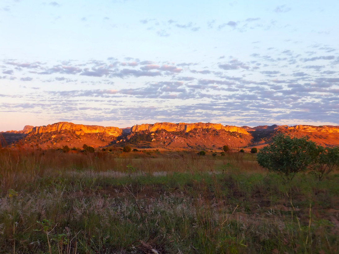 1349_20120510_062428_Madagaskar_DSCF0876